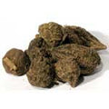 High John 1oz (Ipomoea jalapa)