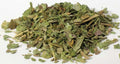 Lobelia Cut 1oz (Lobelia inflata)