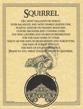 Squirrel Prayer poster