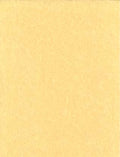 Light Parchment Paper 25 Pack (8 1/2" x 11")
