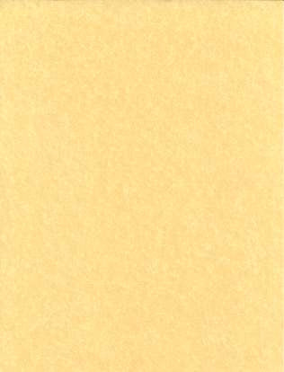 Light Parchment Paper 25 Pack (8 1/2" x 11")