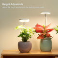 Ring Grow Light 5V USB Phytolamp For Plants Led Full Spectrum Lamp For Indoor P