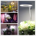 LED Growing Light Full Spectrum Indoor Plants USB with Timer