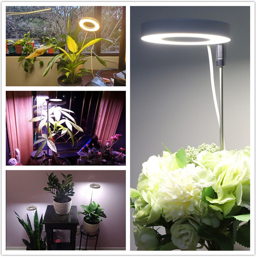 LED Growing Light Full Spectrum Indoor Plants USB with Timer