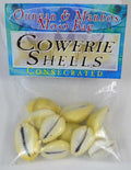 Cowrie Shells (Concha De Caliri) consecrated
