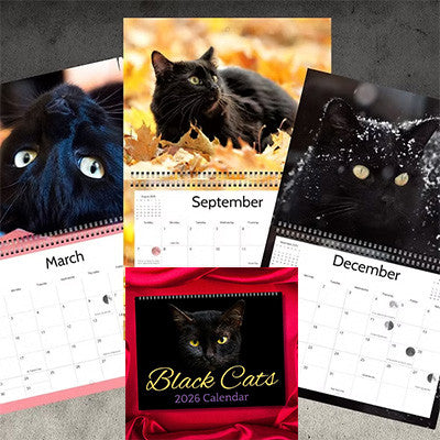 2026 Black Cat calendar