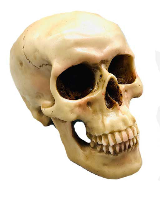 5" Grinning Skull
